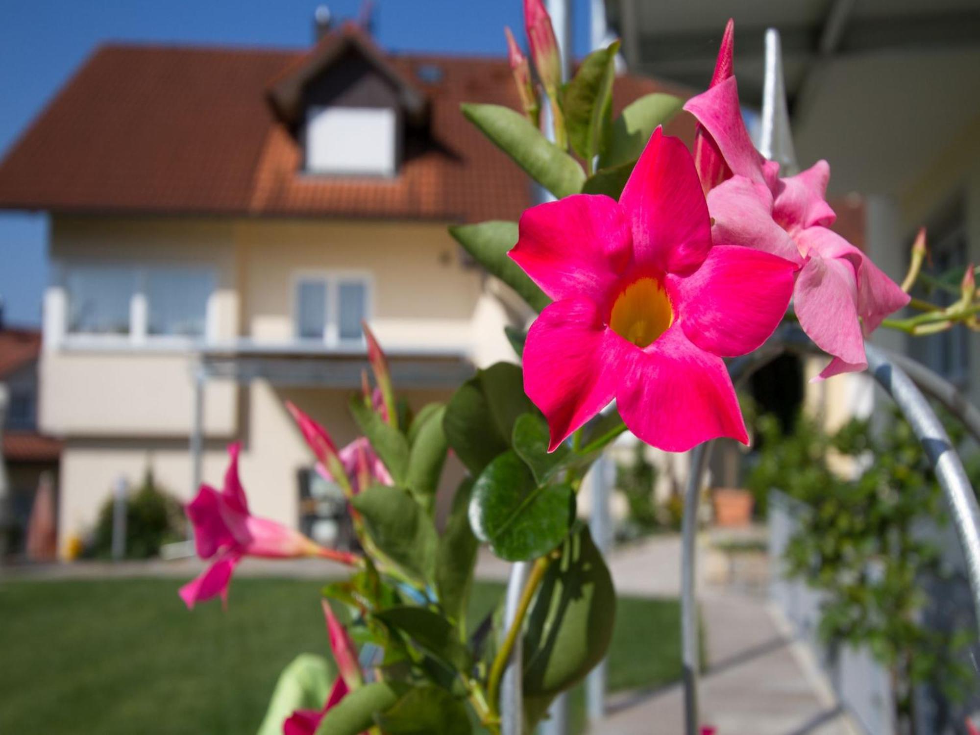 Obst- Und Ferienhof Witzigmann Wasserburg Zewnętrze zdjęcie